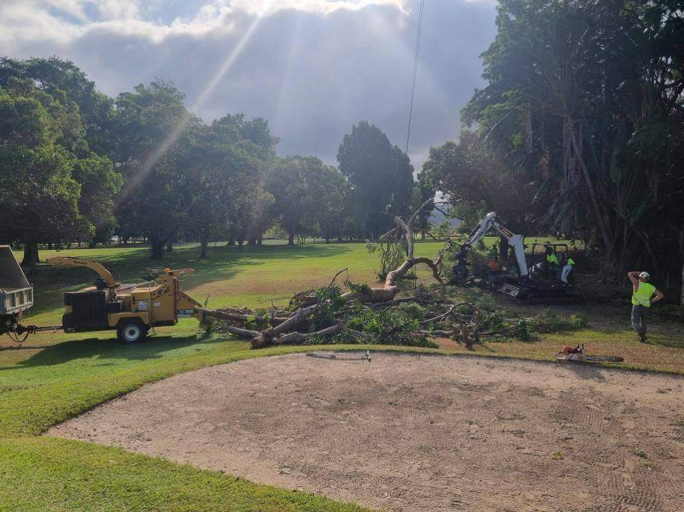 Tree chipper clearing trees from a golf course