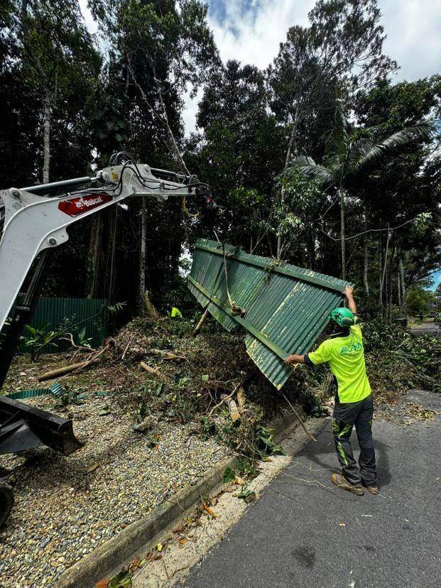 AVM arborist clearing storm debris