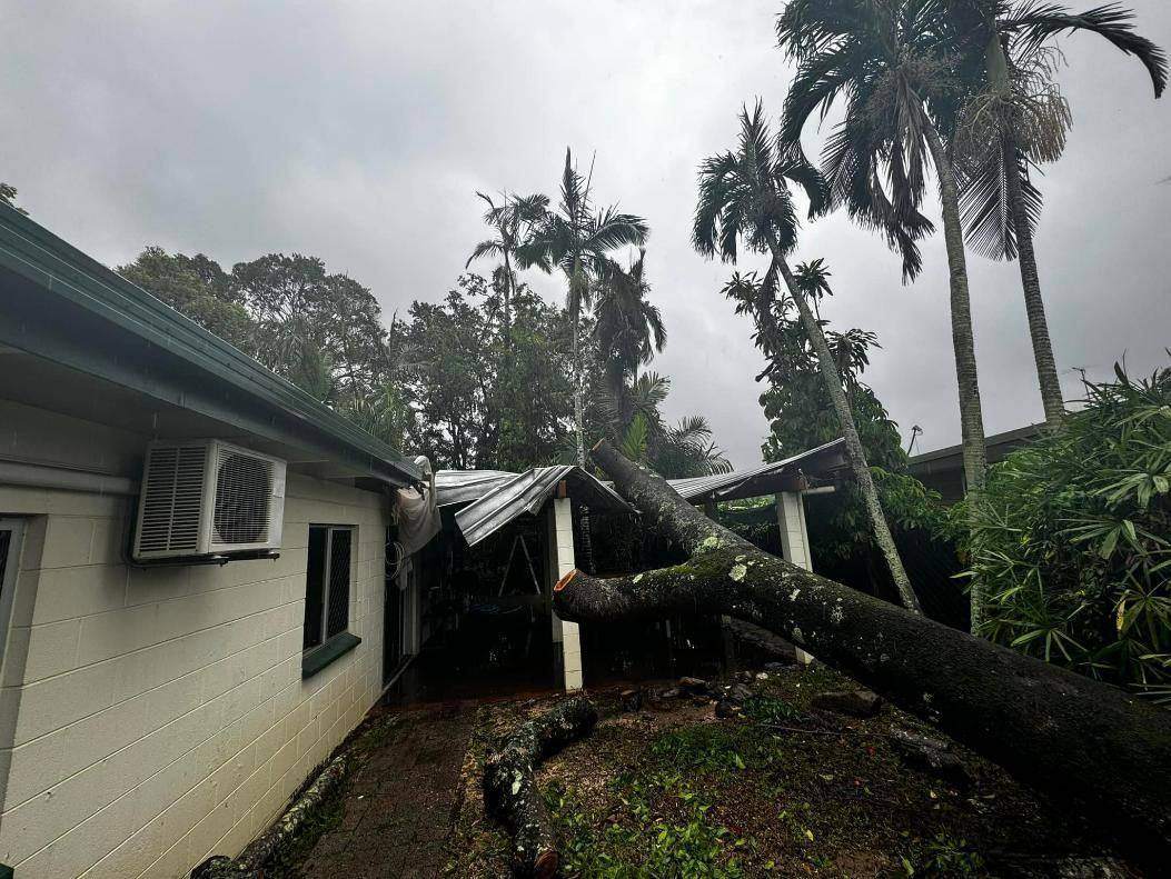 Tree fallen on the roof of a Cairns house