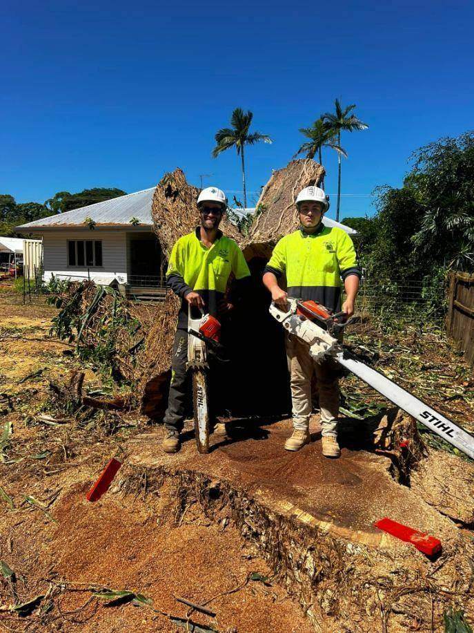 Two AVM arborists beside a large stump