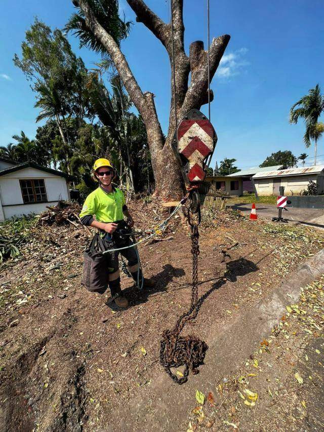 Palm and tree work at a coastal home