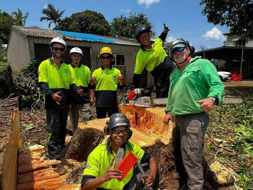 Tree work beside the coastal range