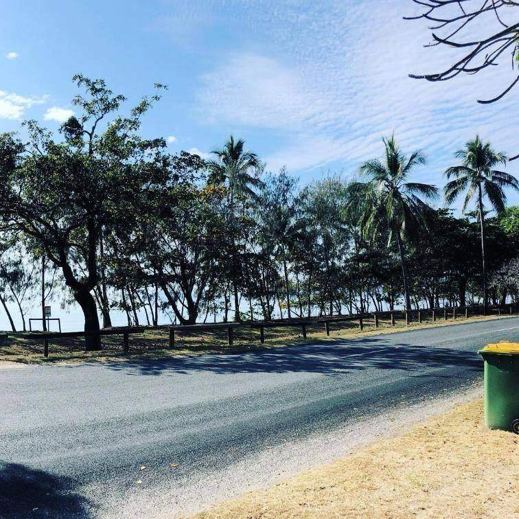 Road lined with palm trees