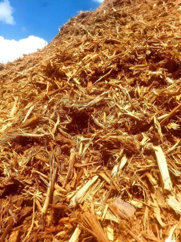 Pile of wood chip mulch against a blue sky