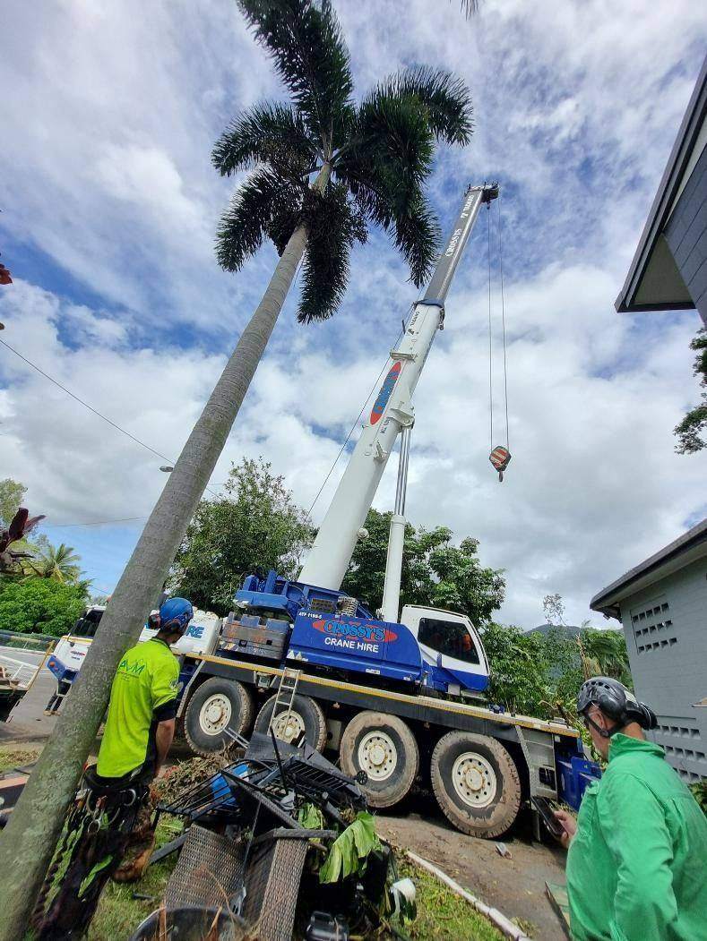 Tree removal on a sloping block