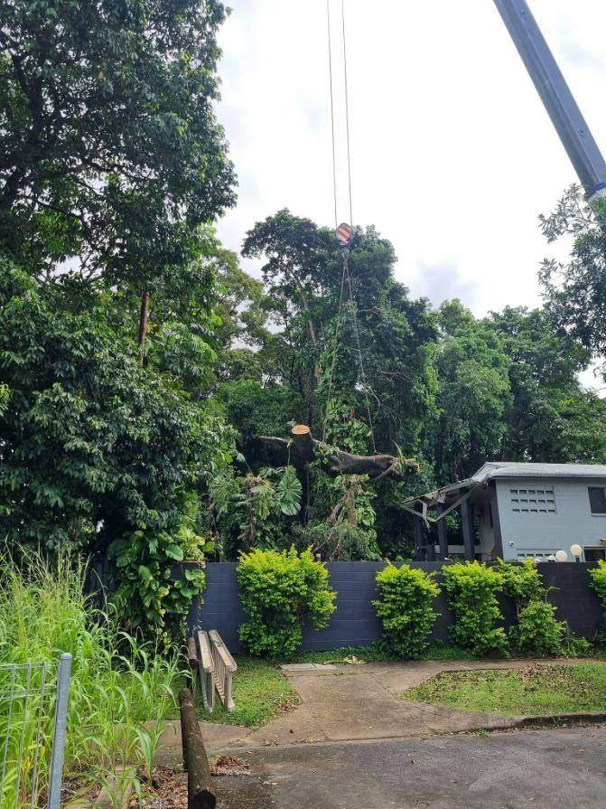 Crane lifting a tree over a house