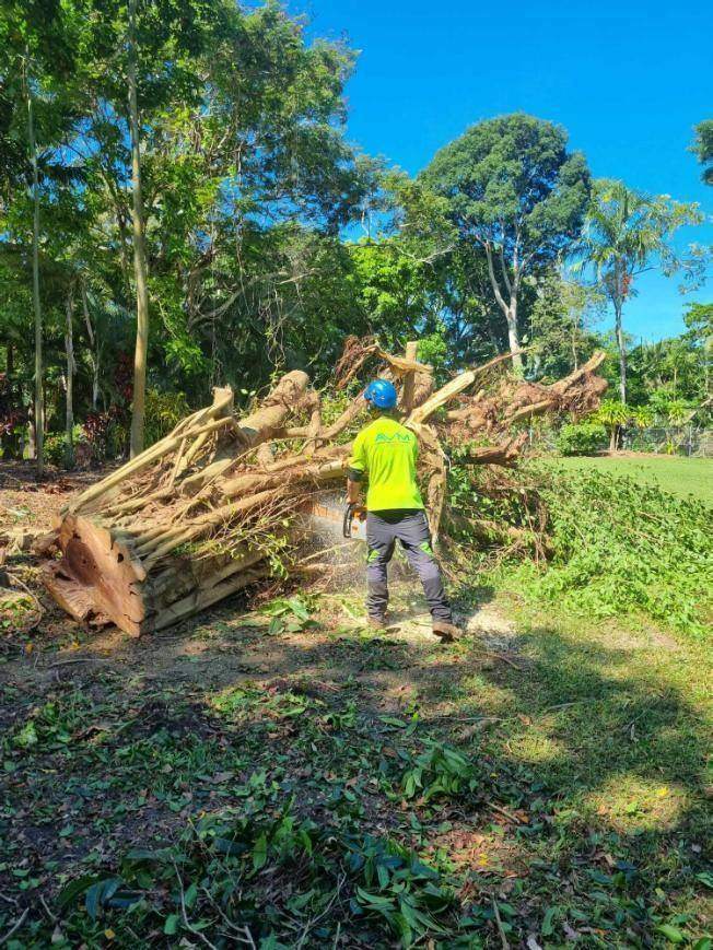 Tree work at a Smithfield property