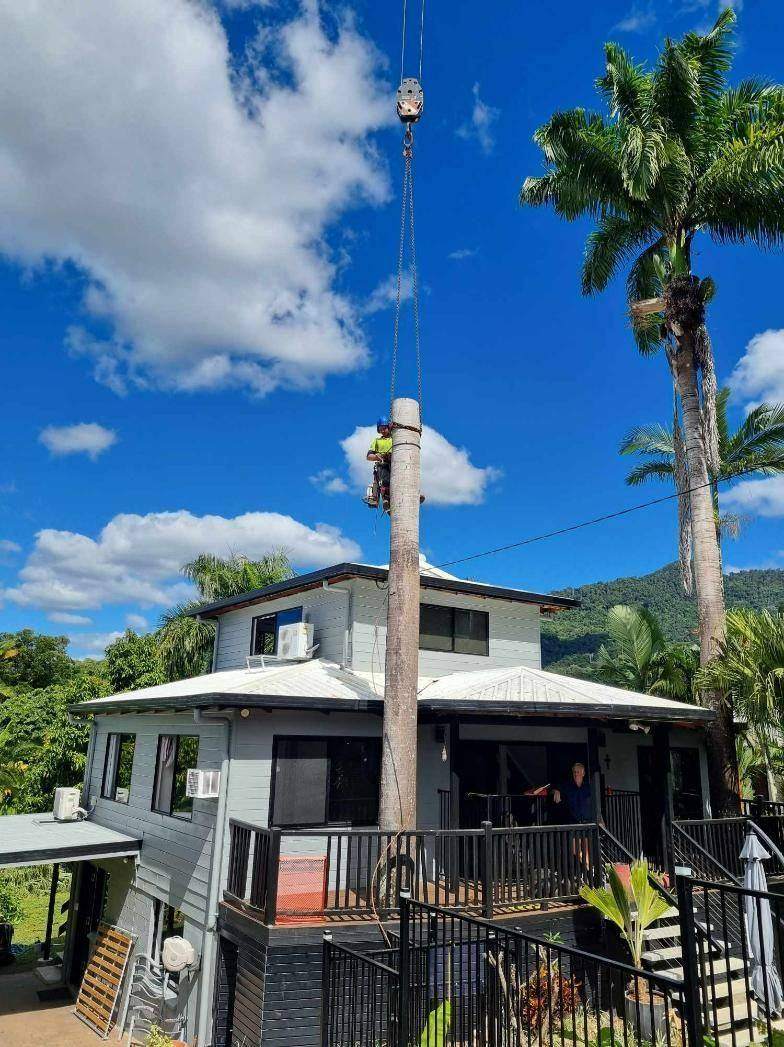 House with balcony and palm before removal