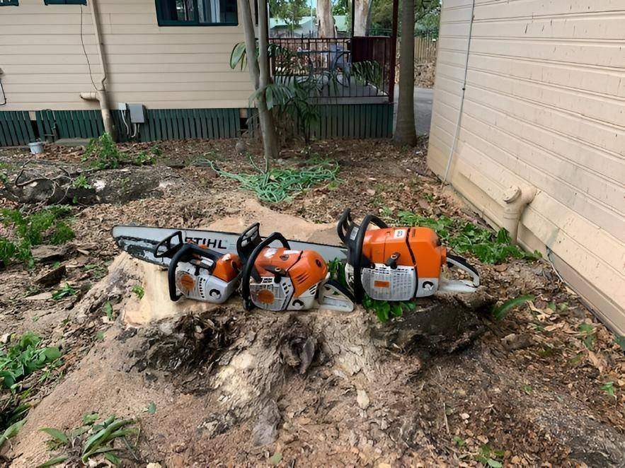 Large stump in front of a house before grinding