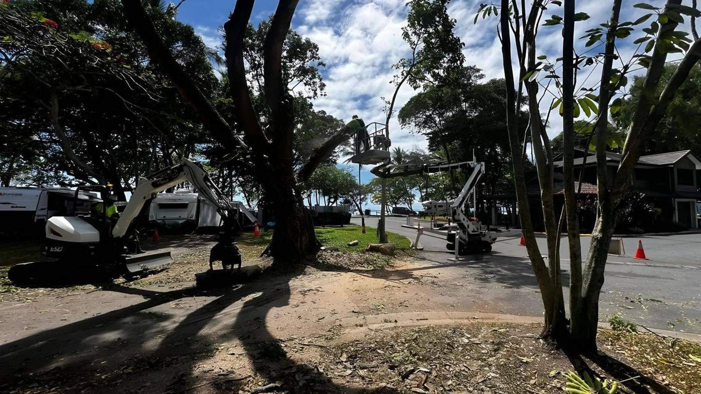 AVM trucks on a development site