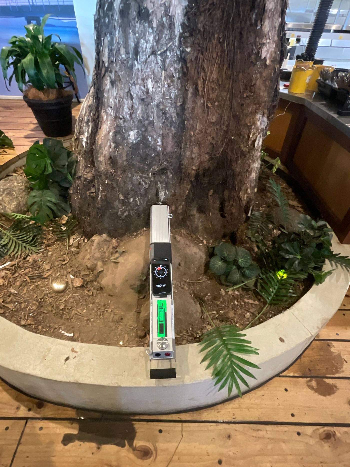 Decay test being carried out on a tree