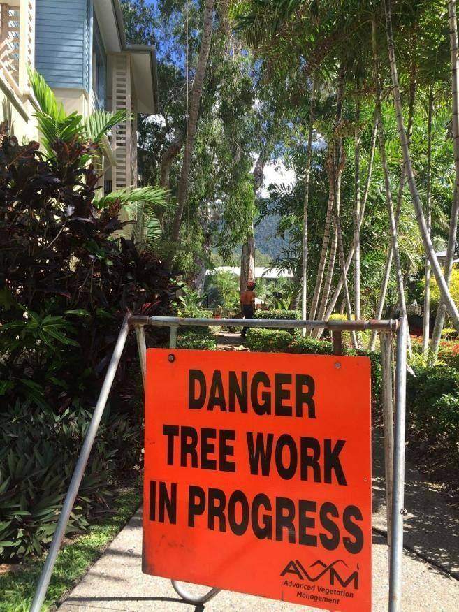 Danger tree work in progress sign