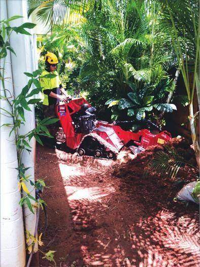 Tracked machine working through rainforest