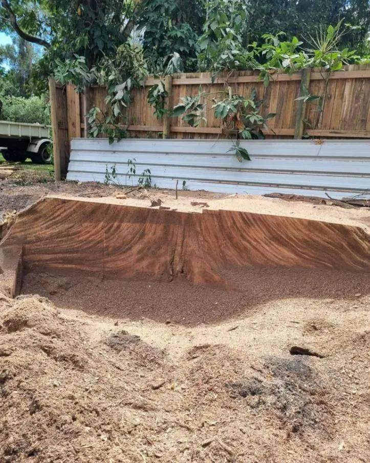 Stump Grinding in Cairns