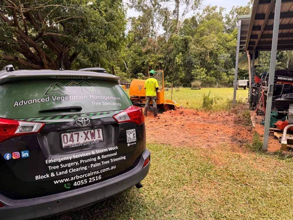 Arborist Reports in Cairns