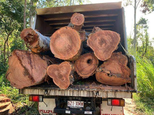Truck loaded with logs in the bush