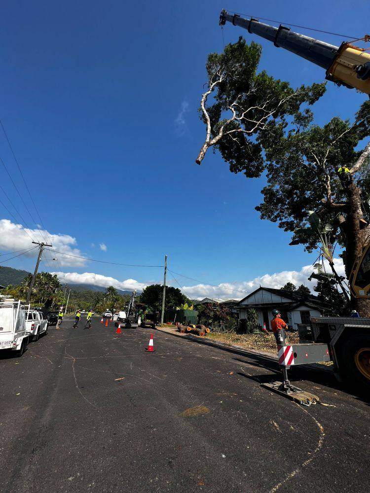 Crane removing a tree beside a Cairns road