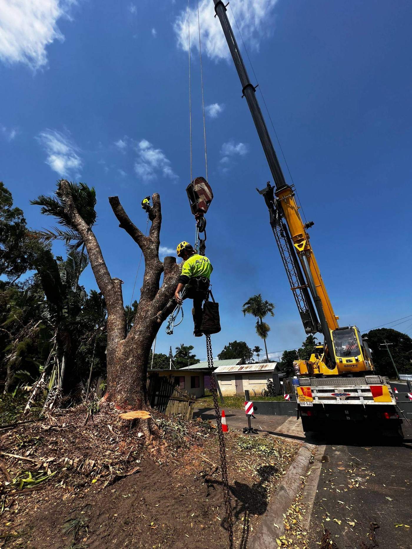 Arborist working in a tree canopy with a chainsaw