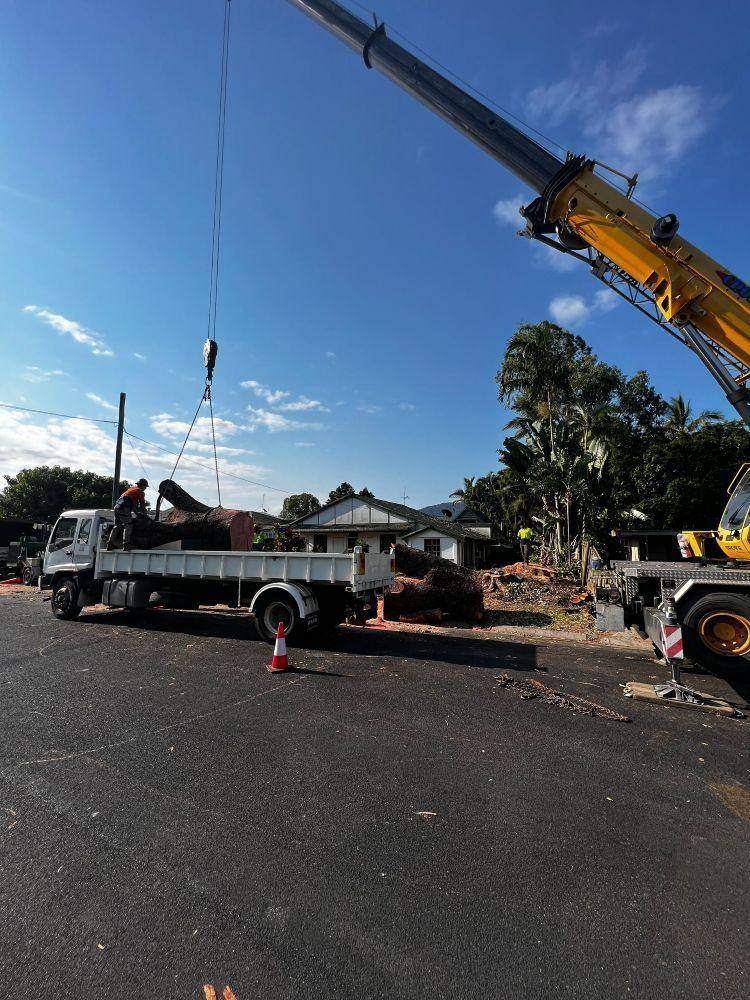 AVM truck and crane on a job site