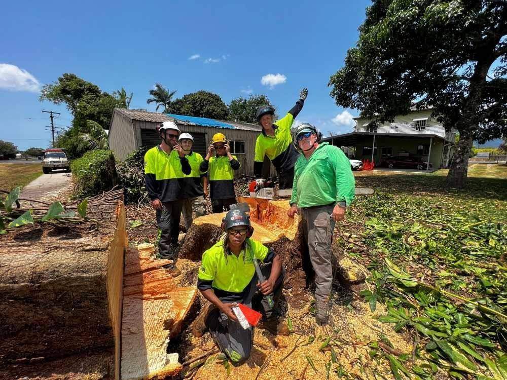 AVM arborists meeting around a tree stump