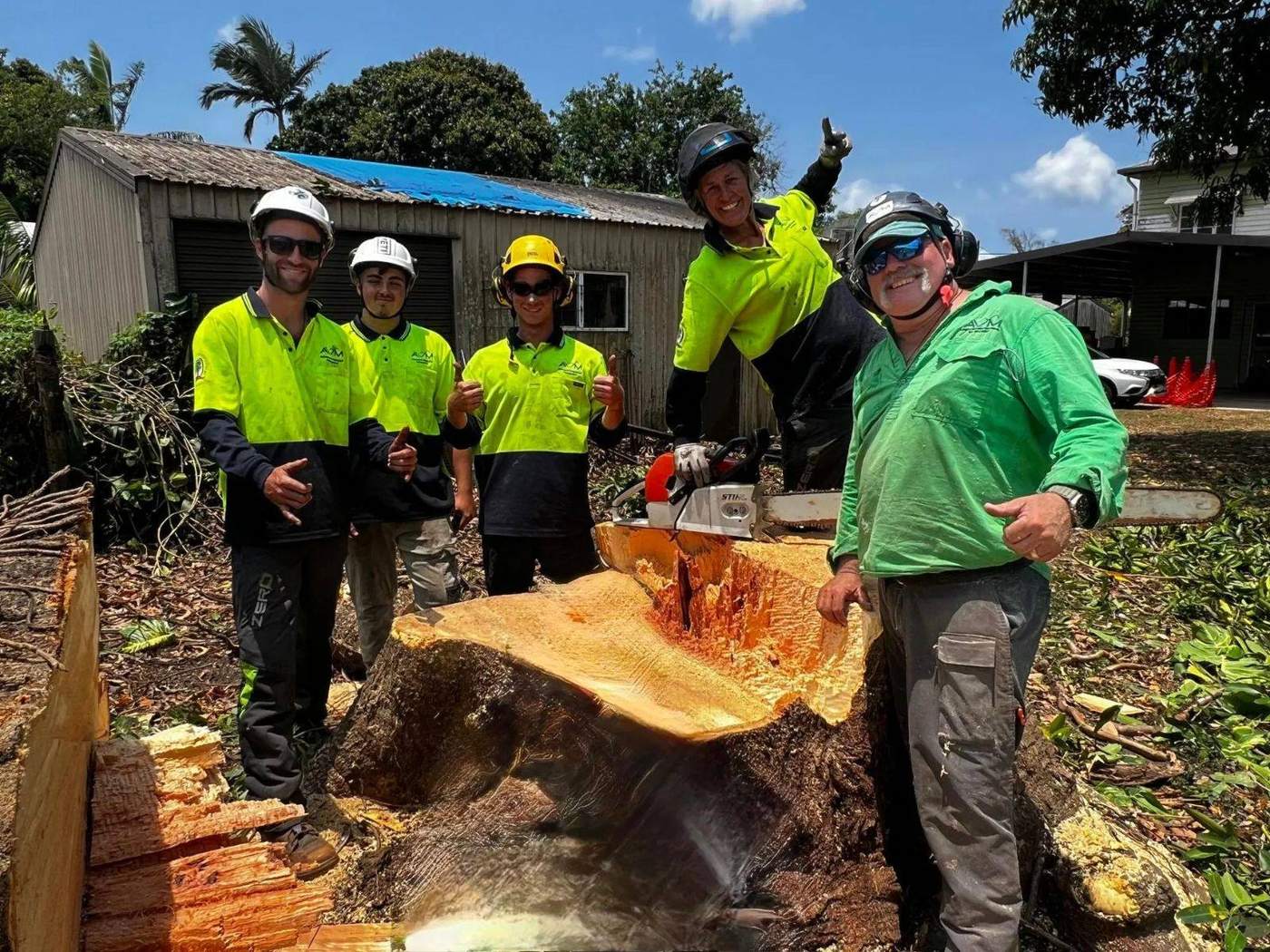 The AVM crew around a large stump