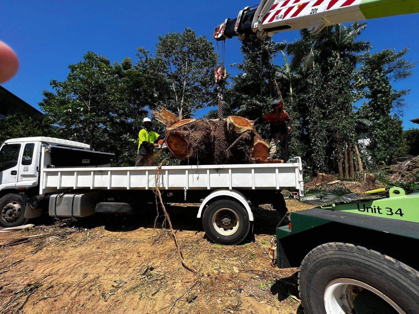 Crew loading a large stump onto a truck in a backyard