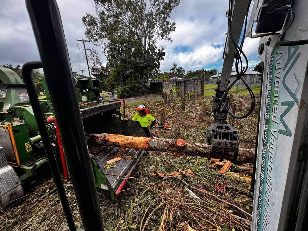 Machine working on a tree in a field