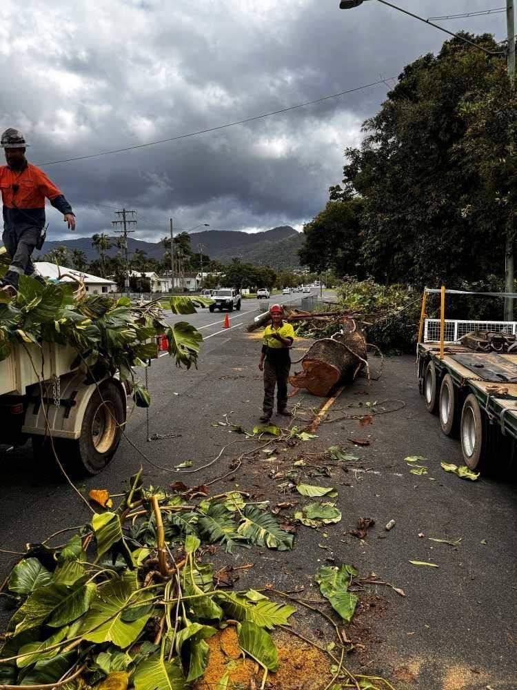 AVM truck loaded with branches after a removal