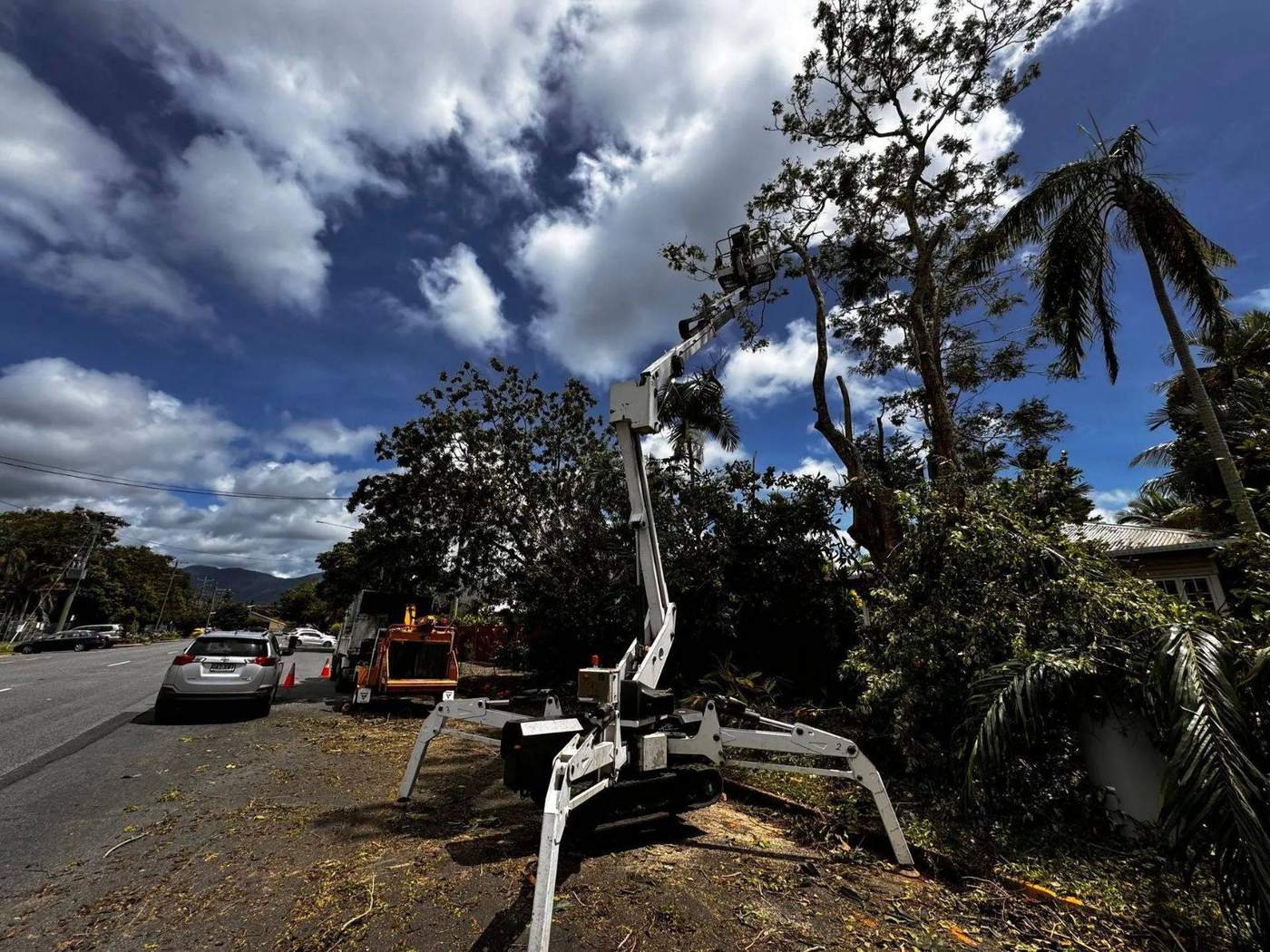 Storm-weighted trees before lopping