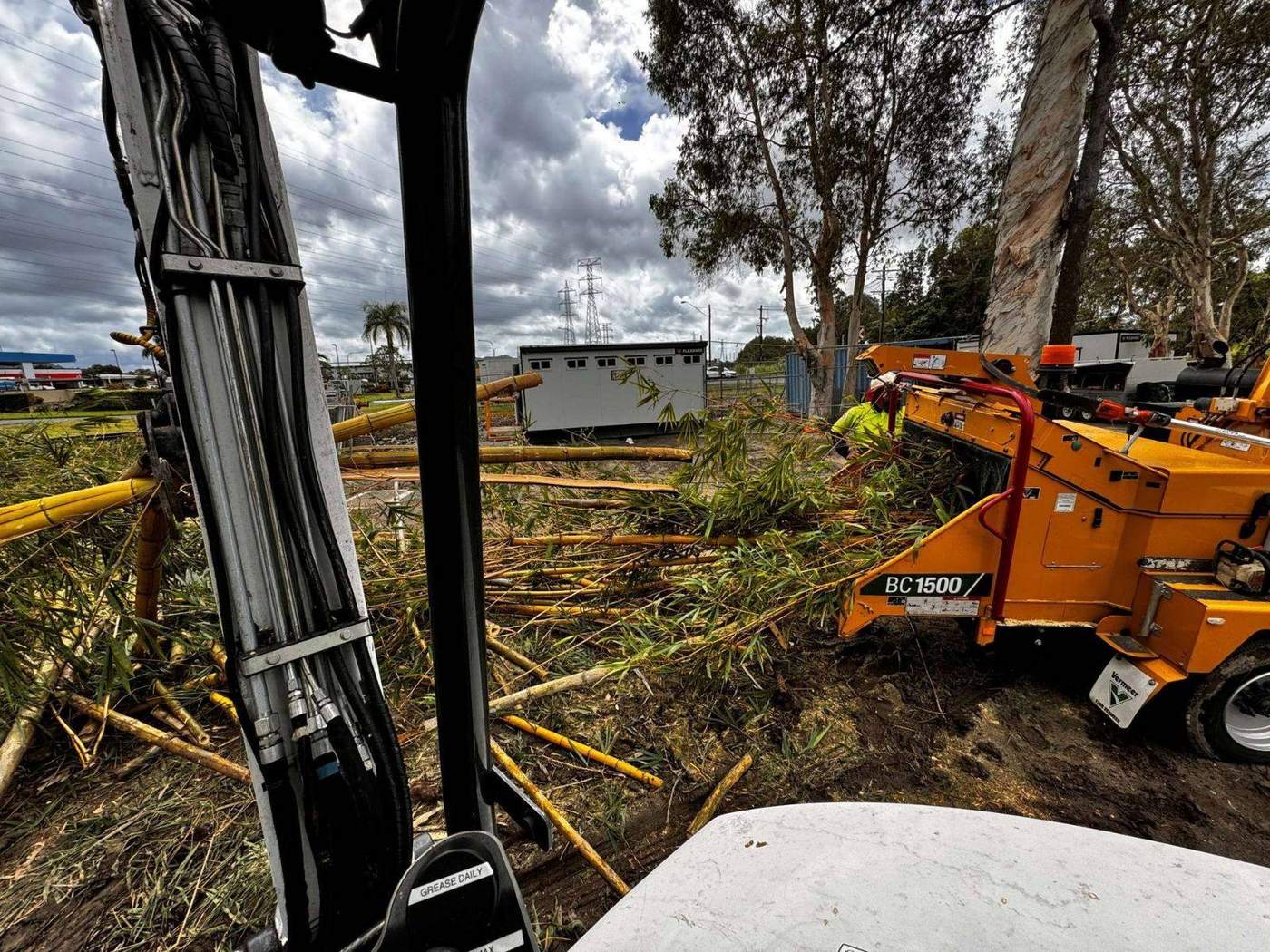 Tree work at a Clifton Beach property