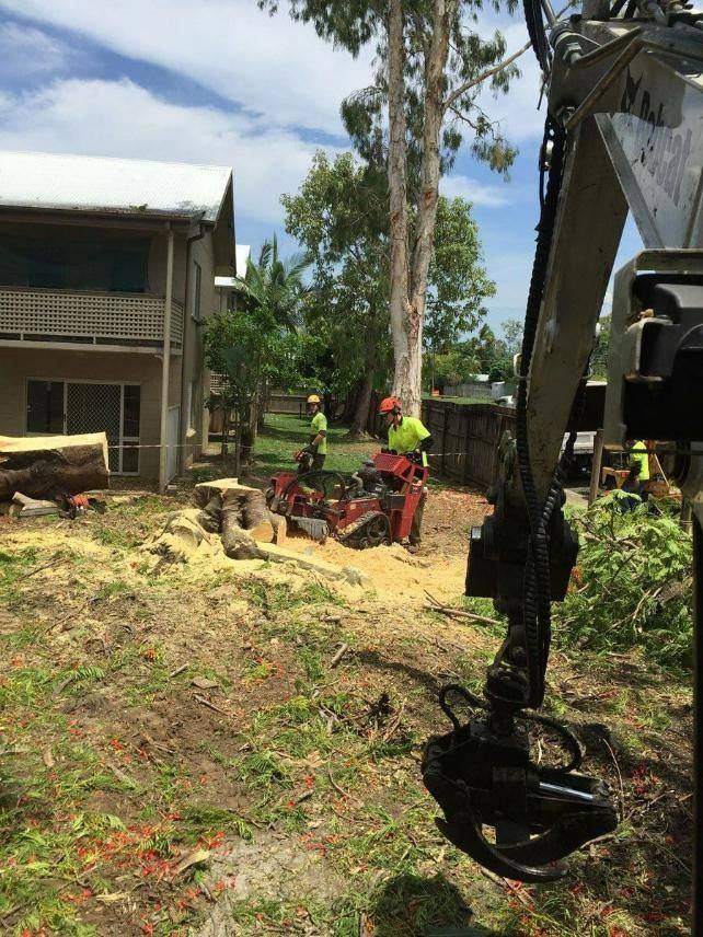 Machine felling a tree beside a house