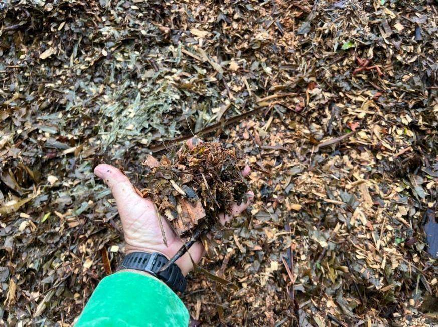 Mulch Supply in Cairns