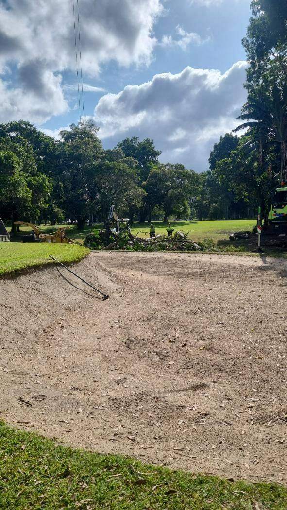 Cleared dirt block with trees around the edge
