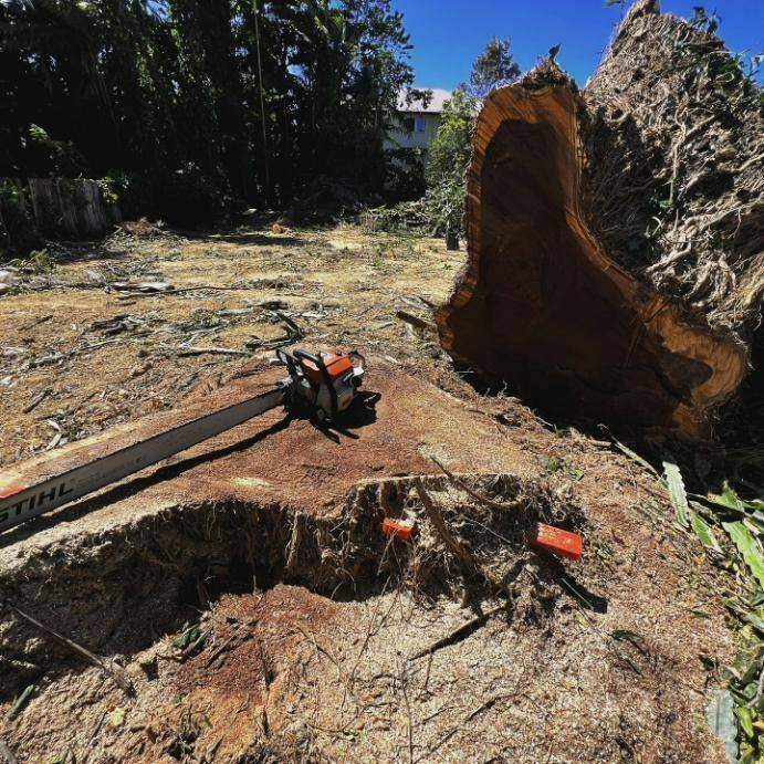 Stump Removal in Cairns