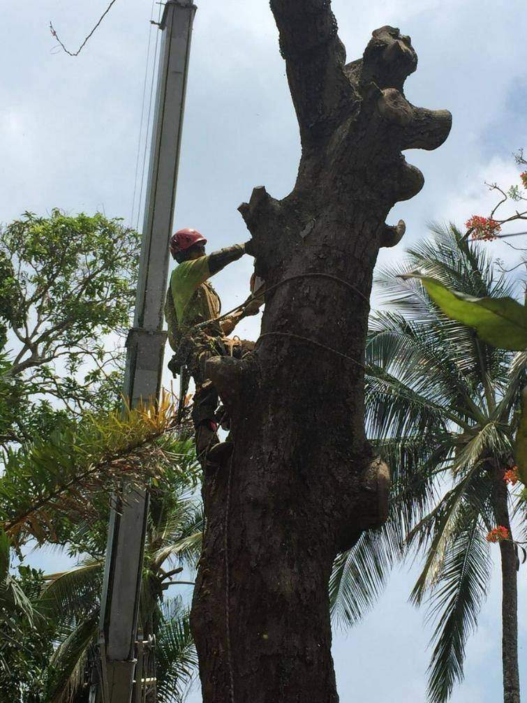 Climber working alongside a crane