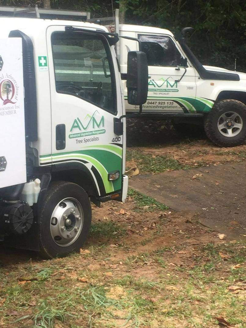 AVM trucks on a tree removal job in Yorkeys Knob
