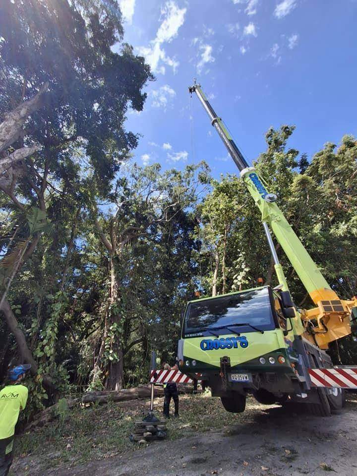 Vegetation Management in Cairns